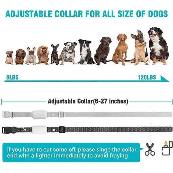 Remote Dog Training Collar E60868