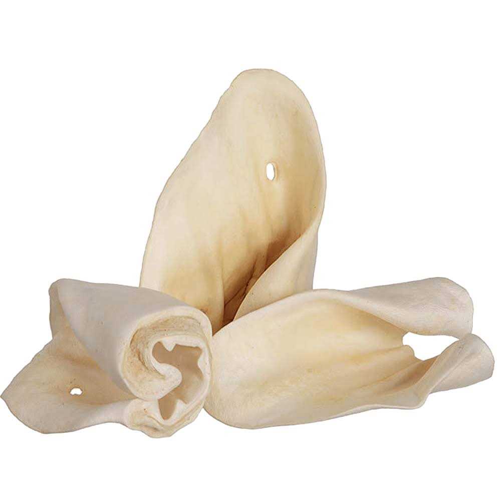 Cow Ears F861