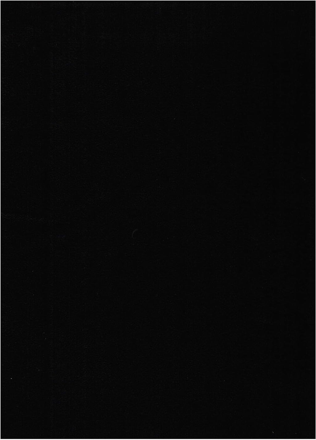 Black Suede Fabric Futon Mattress W655