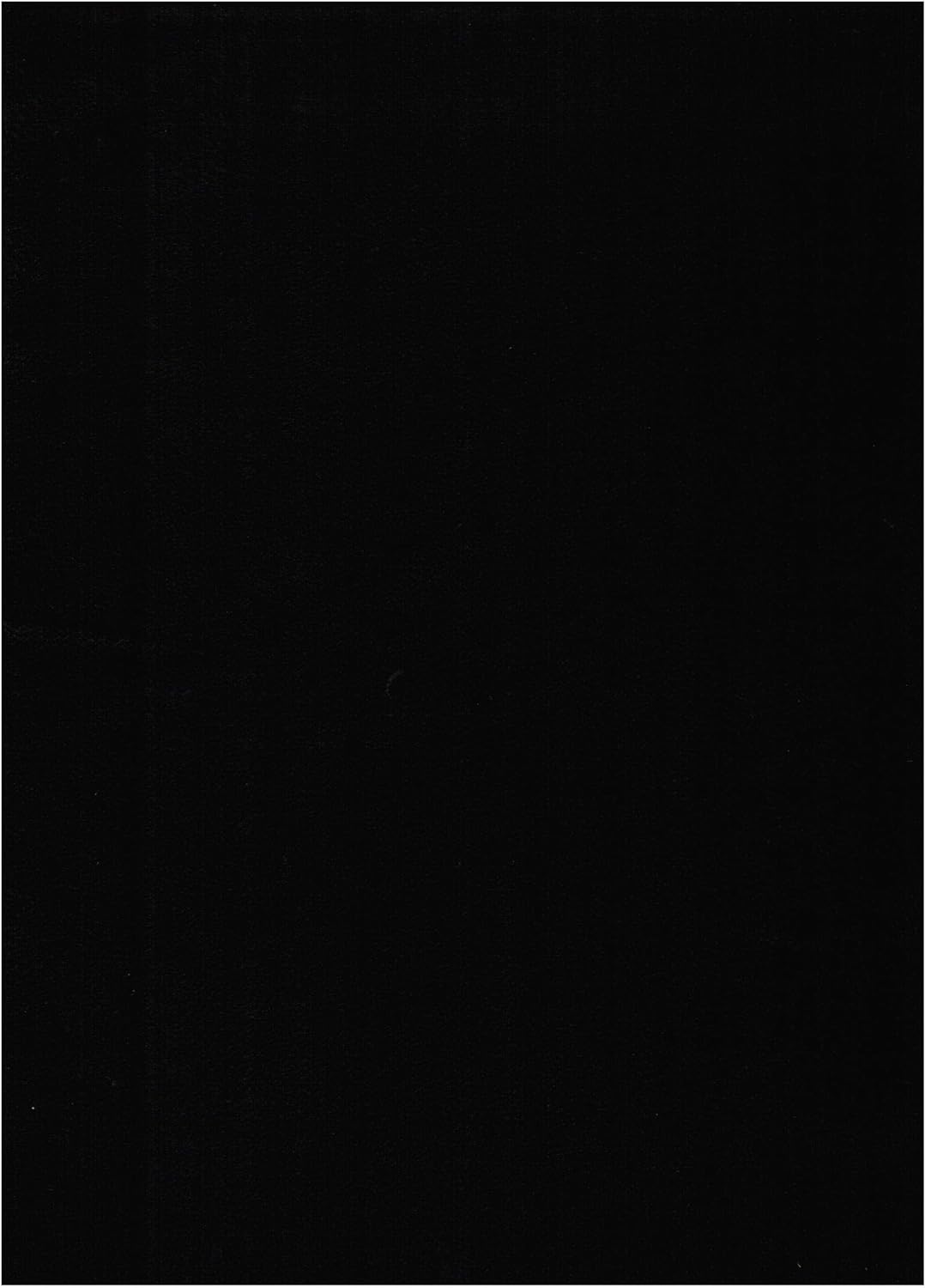 Black Suede Fabric Futon Mattress W655