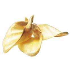 Cow Ears F861