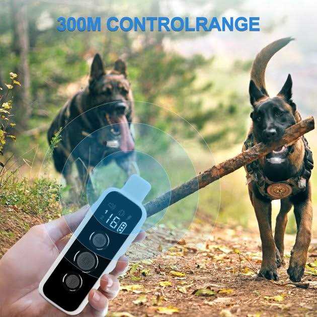 Remote Dog Training Collar E60868