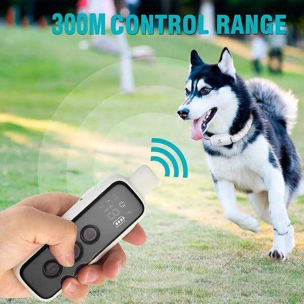 Remote Dog Training Collar E60868